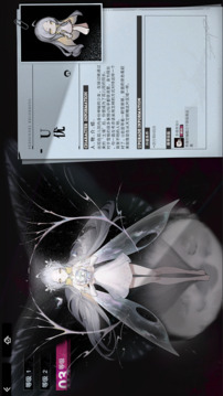 代號雪境游戲截圖1
