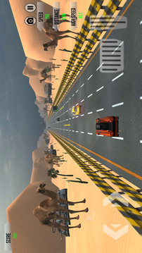 Traffic Racer Champion Game游戲截圖4