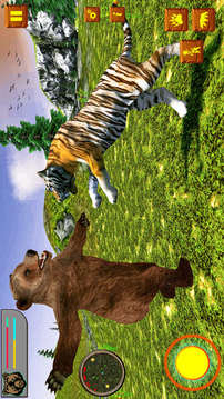 Bear Simulator Wild Animal游戲截圖5