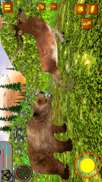 Bear Simulator Wild Animal游戲截圖2
