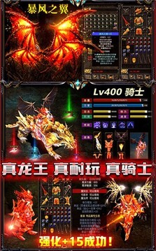 勇者大秘境游戲截圖2