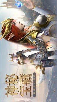 黑金圣騎士游戲截圖2
