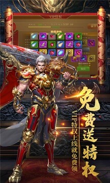 守衛(wèi)王權(quán)版游戲截圖4