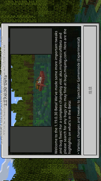 minecraft java版游戲截圖2