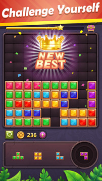 Block Puzzle Gem游戲截圖1