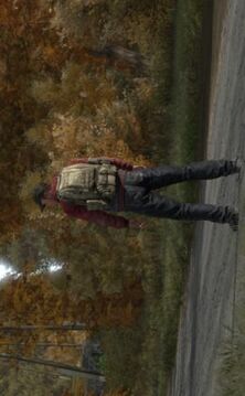 dayz獨(dú)立版游戲截圖4