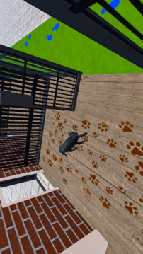 Animal Shelter My Pet Dog Sim游戲截圖3