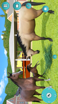 我懷孕的馬 3D游戲截圖1