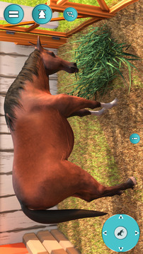 我懷孕的馬 3D游戲截圖2