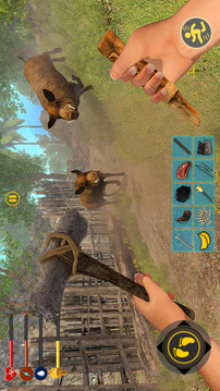 Raft Survival Forest Runescape游戲截圖4