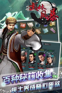 武林風(fēng)暴游戲截圖4