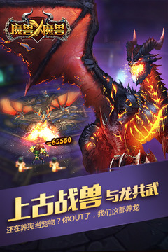 暴風城之怒游戲截圖2