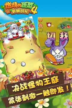 燃燒的蔬菜4新鮮戰(zhàn)隊(duì)游戲截圖2