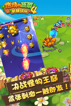 燃燒的蔬菜4新鮮戰(zhàn)隊(duì)游戲截圖3