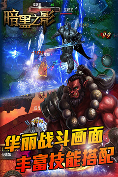 暗黑之影游戲截圖2