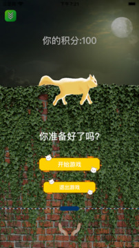 嗨貓貓游戲截圖2