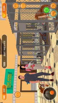 Pet Animal Shelter Simulator游戲截圖1