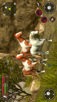 Stallion Wild Horse Simulator游戲截圖2