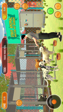 Pet Animal Shelter Simulator游戲截圖5