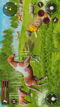 Stallion Wild Horse Simulator游戲截圖3