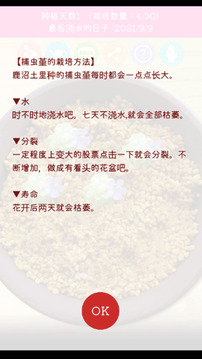 捕蟲菫栽培模擬游戲截圖2