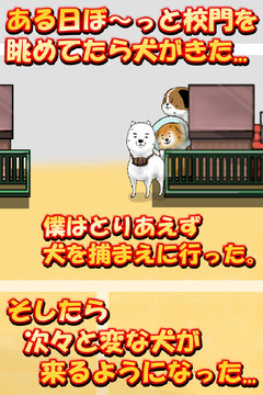 狗狗校園游戲截圖5