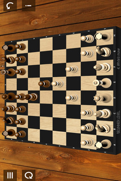 Classic chess游戏截图3