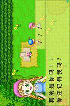 牧場(chǎng)物語：礦石鎮(zhèn)的伙伴們游戲截圖4