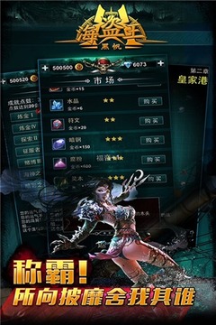 海盜王黑帆游戲截圖4