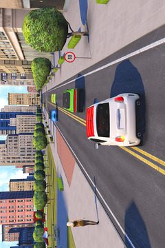 Driving School Fever游戲截圖1