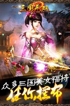 三國無雙online游戲截圖3