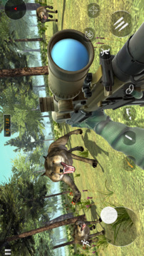 动物狩猎游戏截图3