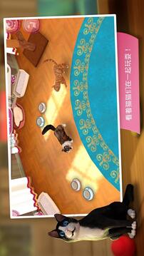 貓咪賓館游戲截圖2