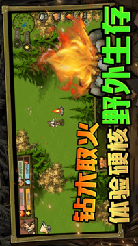 荒野獨居游戲截圖3