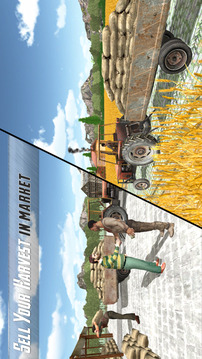 Real Farming Tractor Sim 2016游戲截圖4