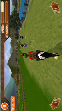 Ultimate Horse Race Champion游戲截圖3