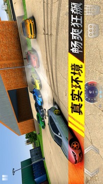 狂野追擊游戲截圖2