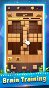 Wood Block Puzzle GamesTetria游戲截圖3