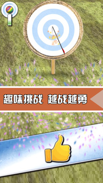 射箭挑戰(zhàn)游戲截圖2