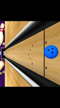 Bowling 3D Pro游戲截圖3