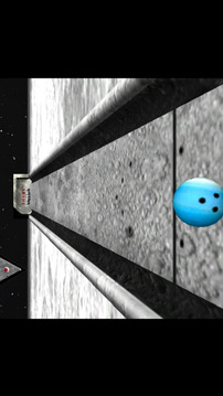 Bowling 3D Pro游戲截圖4