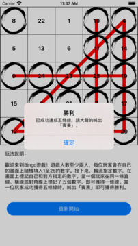 Simple Bingo游戲截圖1