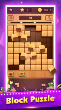 Wood Block Puzzle GamesTetria游戲截圖5