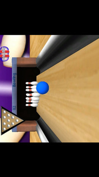 Bowling 3D Pro游戲截圖1