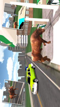 Crazy Angry Bull Attack 3D Run Wild and Smash游戲截圖4