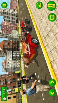 Pet Transport  Atv Dog Game游戲截圖1