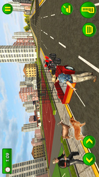Pet Transport  Atv Dog Game游戲截圖5