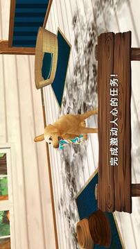 Pet Hotel Premium游戲截圖4