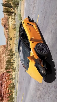 Realistic Crash 3D游戲截圖4