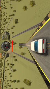 Realistic Crash 3D游戲截圖3